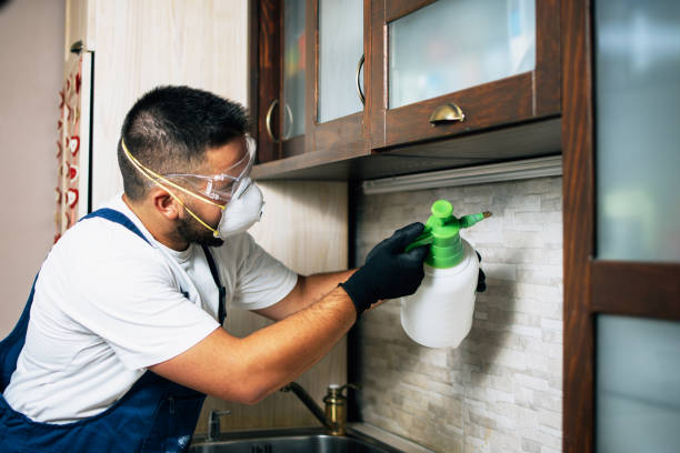 Best Exterminator Services  in Custer, SD