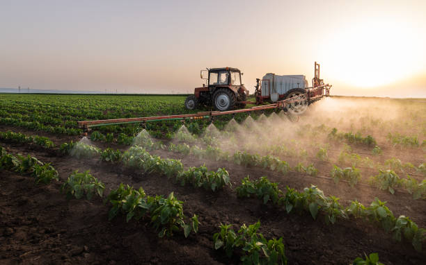 Insect Control in Custer, SD