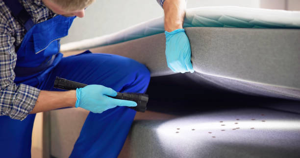 Best Cockroach Control Services  in Custer, SD