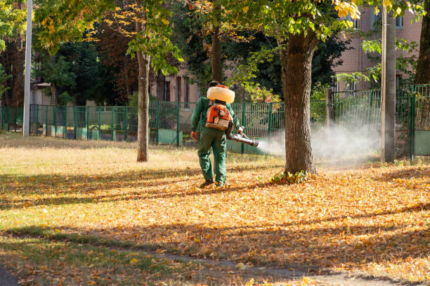 Wildlife Control Services in Custer, SD