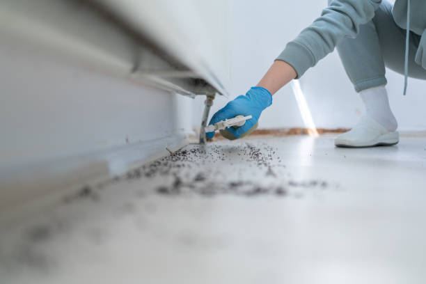 Best Commercial Pest Control Services  in Custer, SD