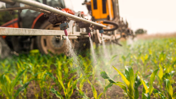 Best Ant Control Services  in Custer, SD